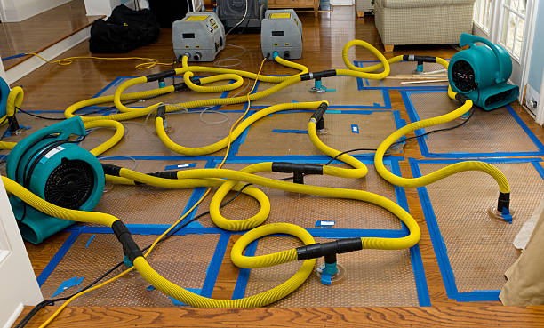 Professional Crawl Space Water Removal technician working in Deerfield, WI